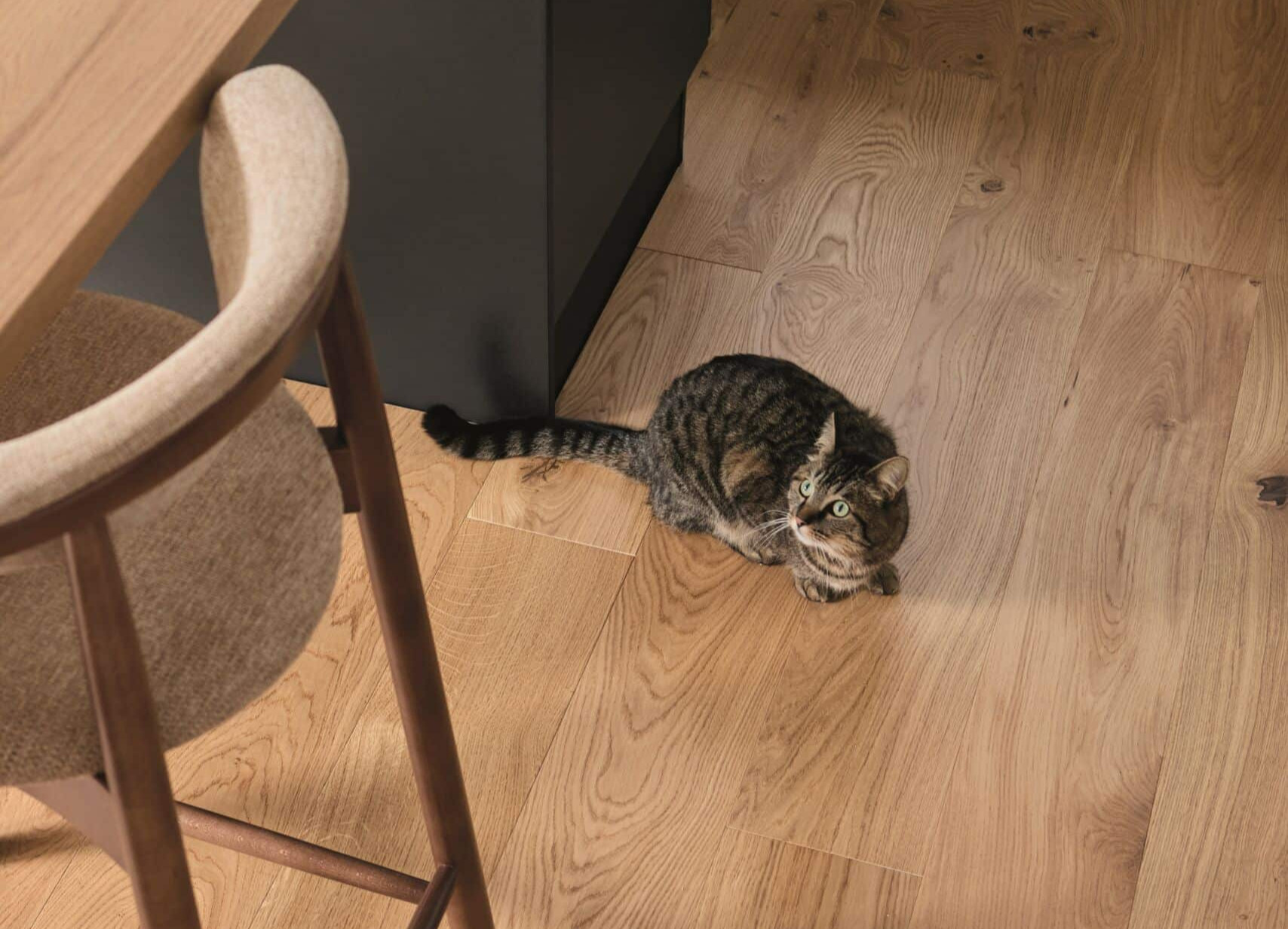 Vẻ đẹp sàn gỗ CASA sau thời gian dài sử dụng