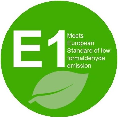 E1